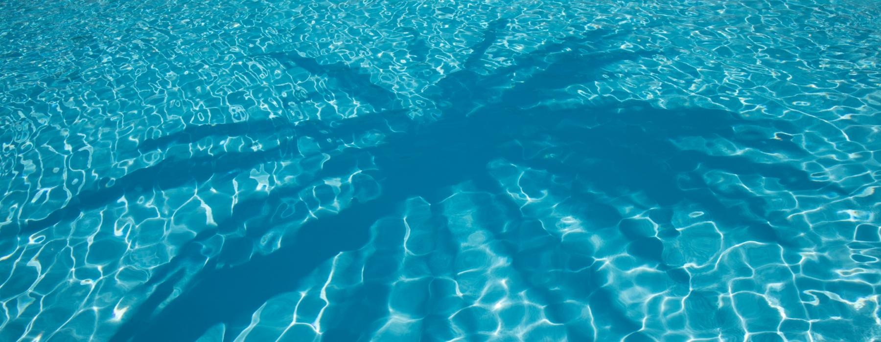 a pool of water with shadow of a palm tree