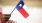 a person holding a flag
