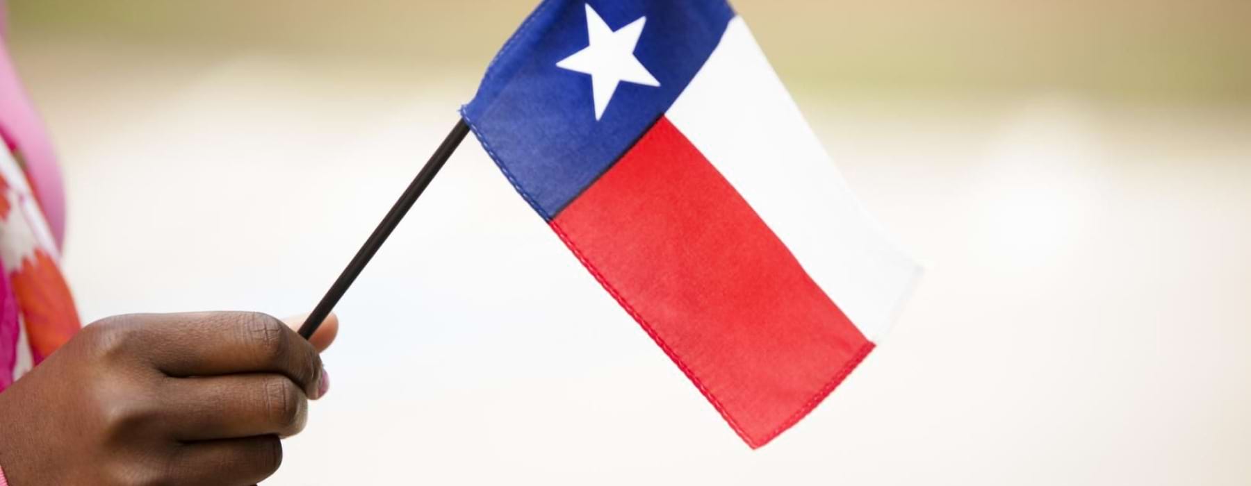 a person holding a flag