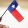 a person holding a flag